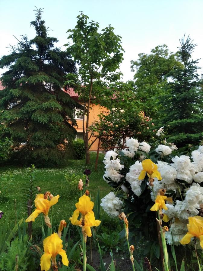 Apartament W Domu Na Wsi Tomaszow Lubelski Exterior photo